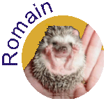 Romain, blog ...